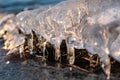 Clear ice icicle close-up sparkling on frozen lake Royalty Free Stock Photo