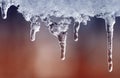 clear ice icicles hang on a clear day Royalty Free Stock Photo