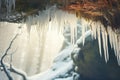 a clear icicle by a snowy forest cave