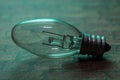 Clear Incandescent Night Light Bulb with candelabra base on green