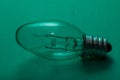 Clear Incandescent Night Light Bulb with candelabra base on green