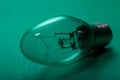 Clear Incandescent Night Light Bulb with candelabra base on green Royalty Free Stock Photo