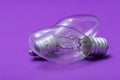 Clear Incandescent Night Light Bulbs with candelabra base on purple