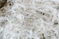 Clear Kelp Noodles Sodium Alginate Royalty Free Stock Photo