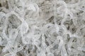 Clear Kelp Noodles Sodium Alginate Royalty Free Stock Photo