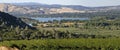 Clear Lake Vineyards Royalty Free Stock Photo