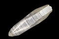 Lemurian Seed Quartz Point Royalty Free Stock Photo