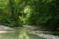 Clear mountain creek in the greenery subtropical forest. Northern Caucasia. Krasnodar Krai Russia