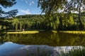 clear mountain lake with green plants in the forest Royalty Free Stock Photo