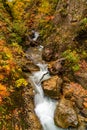 Clear natural stream flow down from the mountain Royalty Free Stock Photo