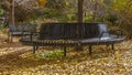 Clear Panorama Circular seat and bench at a park amid lush trees viewed on a sunny day