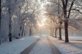 A clear path covered in snow winding through a park with trees and benches, Crisp winter morning in a park featuring a frosted Royalty Free Stock Photo