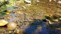 Clear peaceful waters stream waters Royalty Free Stock Photo