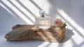 Clear perfume flacon rests on wood with a rose beside it, illuminated by soft natural light Royalty Free Stock Photo