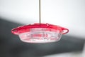 Clear plastic bird feeder with red top