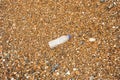 Clear plastic Bottle washed up on the beach Royalty Free Stock Photo