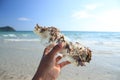 Clear plastic bottle waste Collected from the sea