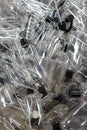 Clear Plastic Pump Bottles with Black Caps