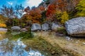 Clear Pool and Bright Leaves at Lost Maples State Park, Texas Royalty Free Stock Photo