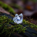 Clear quartz crystals rest on a mossy log in a forest setting Royalty Free Stock Photo