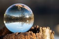 Clear Quartz Sphere on bark, rhytidome, reflecting lake, forest, sky.