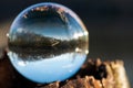 Clear Quartz Sphere on bark, rhytidome, reflecting lake, forest, sky.