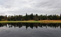 Clear reflection of trees in water