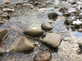 Clear river with rocks