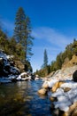 Clear river in the woods Royalty Free Stock Photo