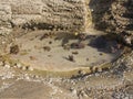 The clear rock pool