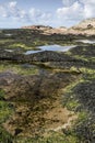 Clear rockpools and seaweed at the Hilbre Islands