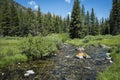 Clear Rocky Mountain Stream Royalty Free Stock Photo