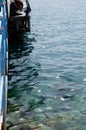 Clear sea water surface, stones and glare