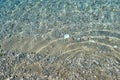 Clear sea water texture, top view of the rocky bottom. Transparent tropical ocean, coral reefs, abstract emerald water surface Royalty Free Stock Photo