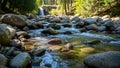 Foliage and tall evergreen trees surround the stream indicating a Royalty Free Stock Photo