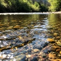 Clear shallow stream with a rocky bed featuring smooth multicolored pebbles Royalty Free Stock Photo