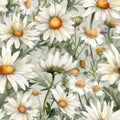 Clear and Sharp Watercolor Daisies Seamless Pattern for Invitations and Scrapbooking.