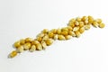 Clear shot of diagonal positioned corn seeds on white background