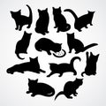 Clear silhouettes for cats and kittens