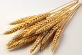 A clear and simple presentation of wheat against a white background