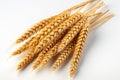 A clear and simple presentation of wheat against a white background