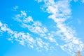 Clear sky overhead. Royalty Free Stock Photo