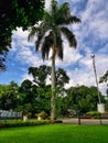 Clear Sky In City Park