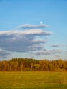 A clear sky with the moon visible, fluffy clouds, a dense forest, and an open grassy field