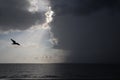 Clear sky and storm clouds on the sea. half the sky is clear, half are storm clouds. hurricane coming. storm coming on the ocean, Royalty Free Stock Photo
