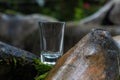 Clear small drinking glass in the middle of green nature landscape