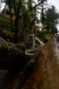 Clear small drinking glass in the middle of green nature landscape