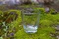 Clear small drinking glass in the middle of green nature landscape