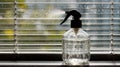 Clear Spray Bottle on Windowsill With Sunlight Filtering Through Blinds in a Cozy Indoor Setting Royalty Free Stock Photo