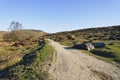 Clear spring morning on Burbage Edge in Derbyshire